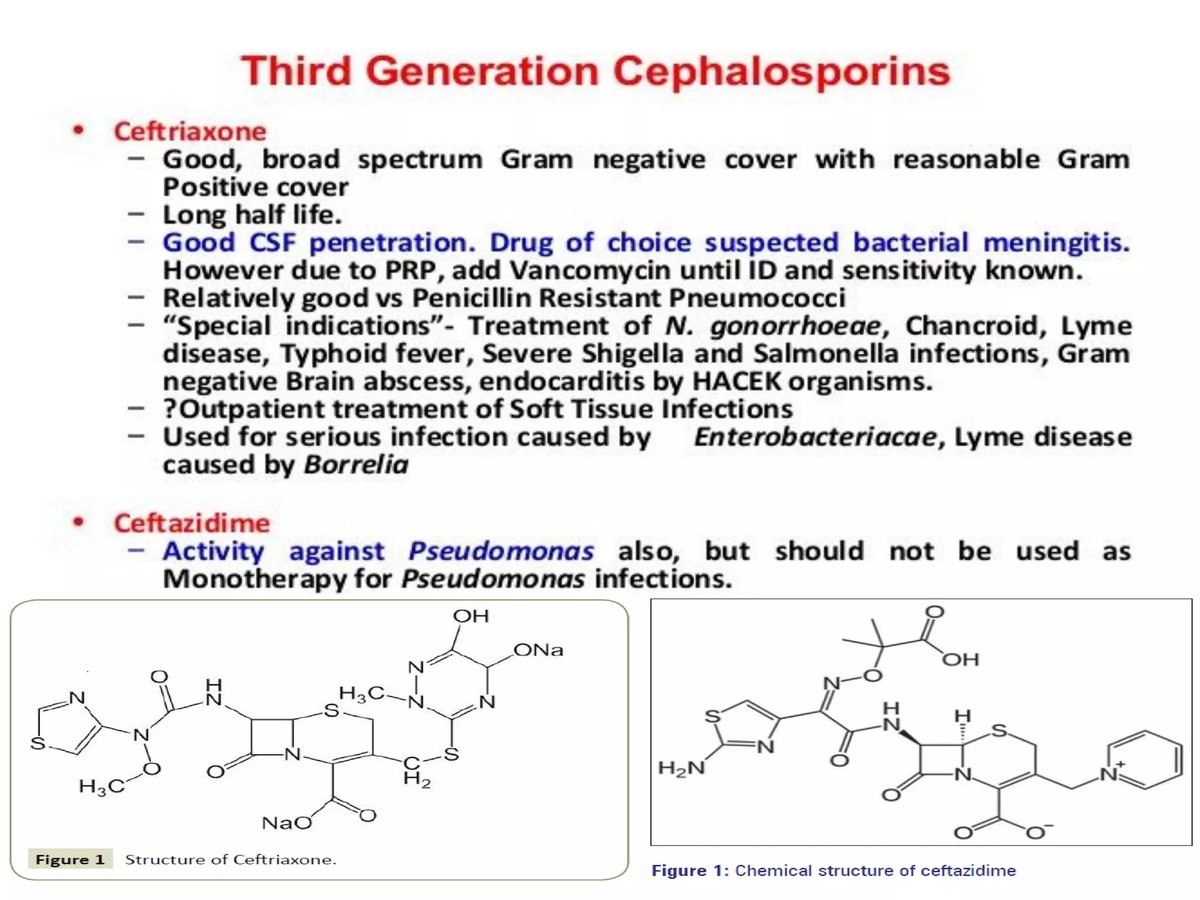 Overview and Classification of Oral Third-Generation Cephalosporins for Clinical Practice
