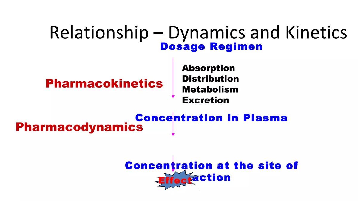 Pharmacokinetics, Dosage, and Administration Optimize Patient Drug Therapy